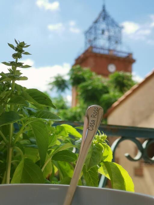 Casa Rosa, Un Petit Cocon Catalan Vila Ortaffa Exterior foto