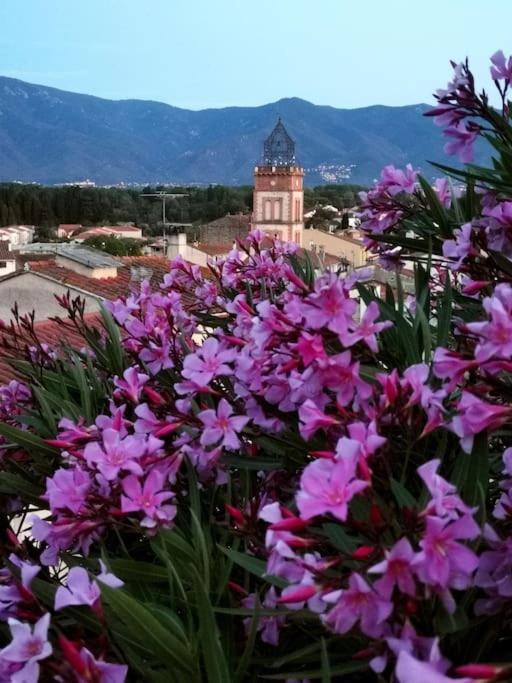 Casa Rosa, Un Petit Cocon Catalan Vila Ortaffa Exterior foto